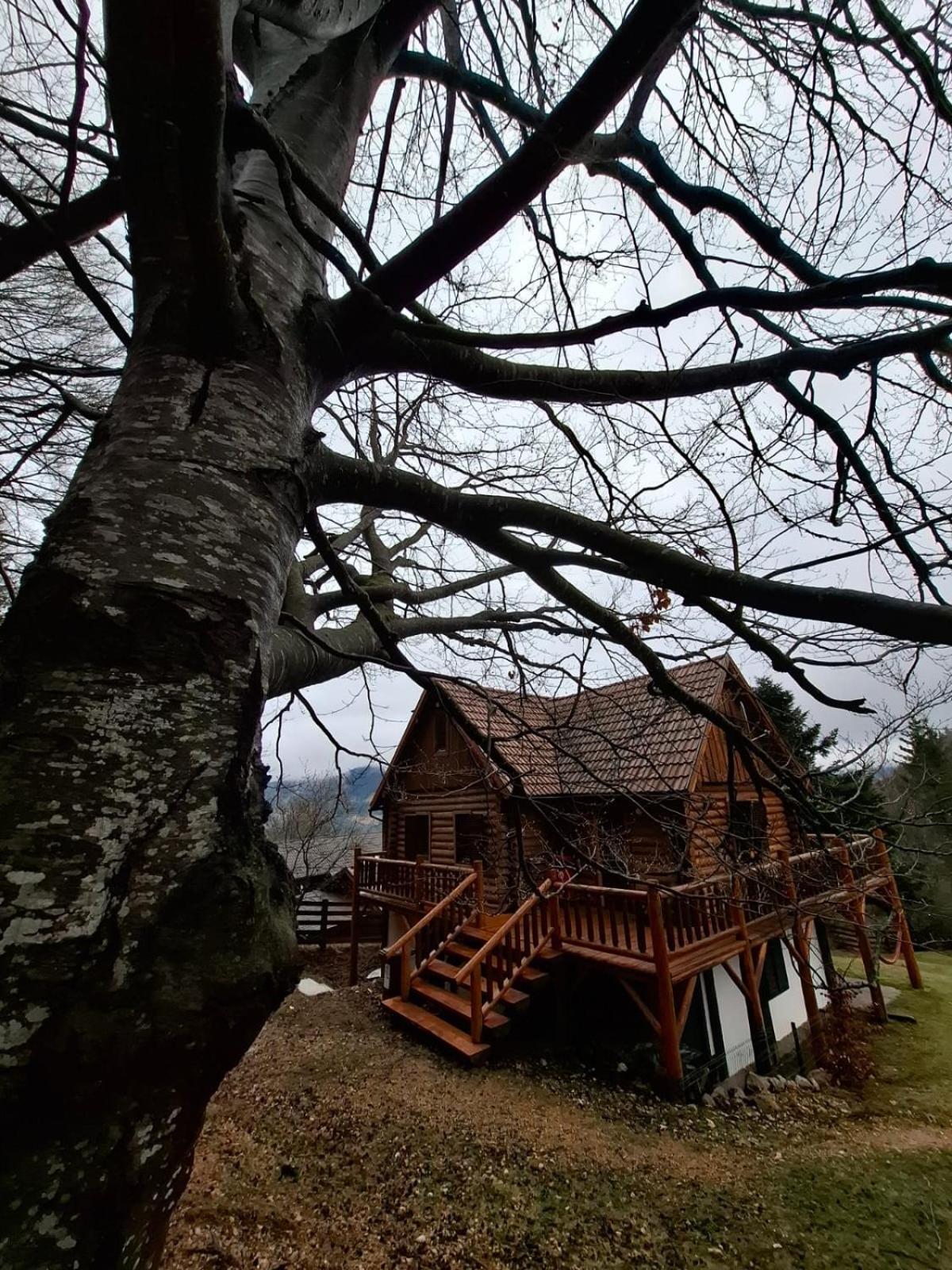 Veresko Villa Lacu Rosu Eksteriør bilde